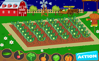 Vegetable Farm